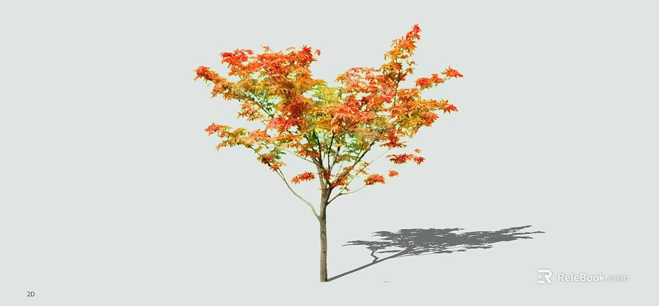 Deciduous Tree with Red and Orange Leaves Single Trunk and Shadow on Light Background 3d model