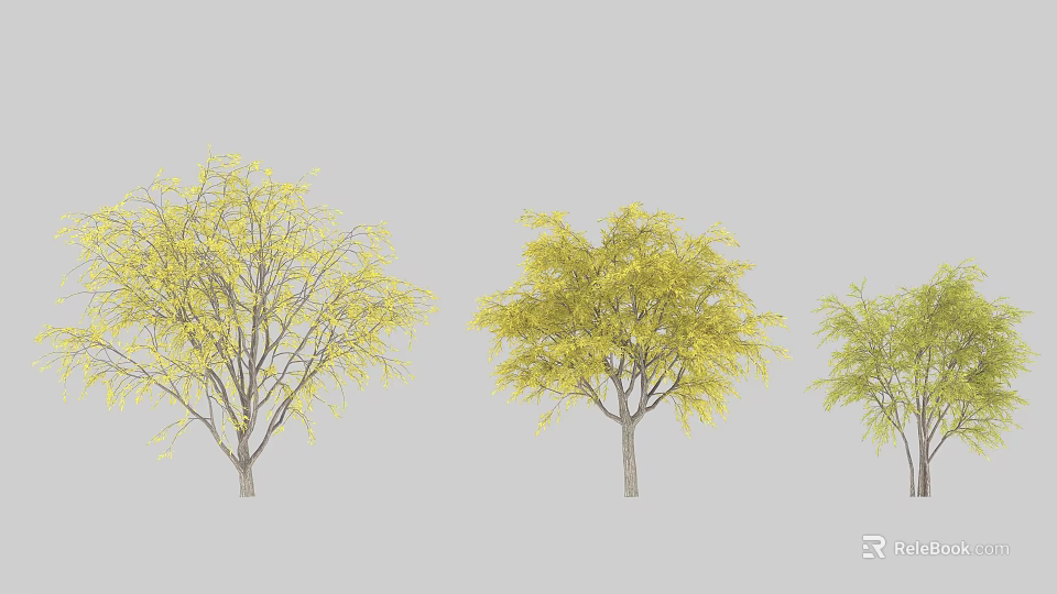 Three Arbor Trees With Yellow Leaves And Various Growth Sizes 3d model 