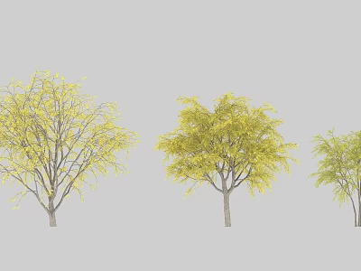 Three Arbor Trees With Yellow Leaves And Various Growth Sizes 3d model