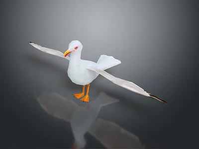 White Seagull with Spread Wings Orange Beak and Feet on Smooth Surface with Reflection 3d model