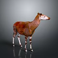 Realistic Okapi Animal Model With Brown Body And White Striped Legs