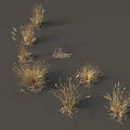 Golden Grass Displaying Various Shapes Different Heights And Spike Structures On Gray Background 3d model