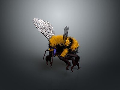 Bee Hornet Peak Wasp Insect Animal Game Animal Cartoon Animal 3d model