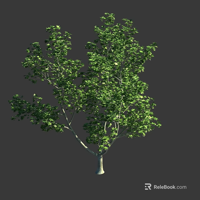 Tall Arbor Featuring Lush Green Foliage Sturdy Trunk And Detailed Branches 3d model 