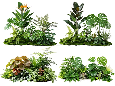 Diverse Plant Combinations with Various Green Foliage Ferns and Monstera Leaves on Mossy Base 3d model