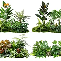 Diverse Plant Combinations with Various Green Foliage Ferns and Monstera Leaves on Mossy Base