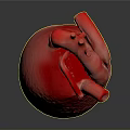 Realistic 3D Rendered Human Heart Organ Model With Red Color And Detailed Structure