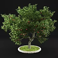 Lush Fruit Tree With Red Fruits Green Leaves Thick Trunk And Green Grass