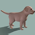 Light Pink Puppy Standing Against Light Green Background With Shadow 3d model