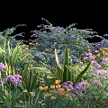 Vibrant Shrub Garden With Purple Flowers Yellow Blooms And Lush Green Foliage