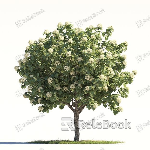 Hydrangea Tree Landscape Shrub Tree Flower-bed Tree Pond Street Tree model