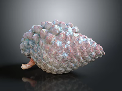 Natural Pine Cone With Pinkish Gray And Blue Bumpy Textured Surface And Scaly Details 3d model