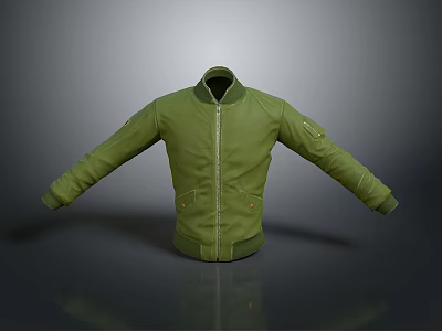 Stylish Green Jacket With Zipper Front Stand Collar And Long Sleeves For Daily Use 3d model