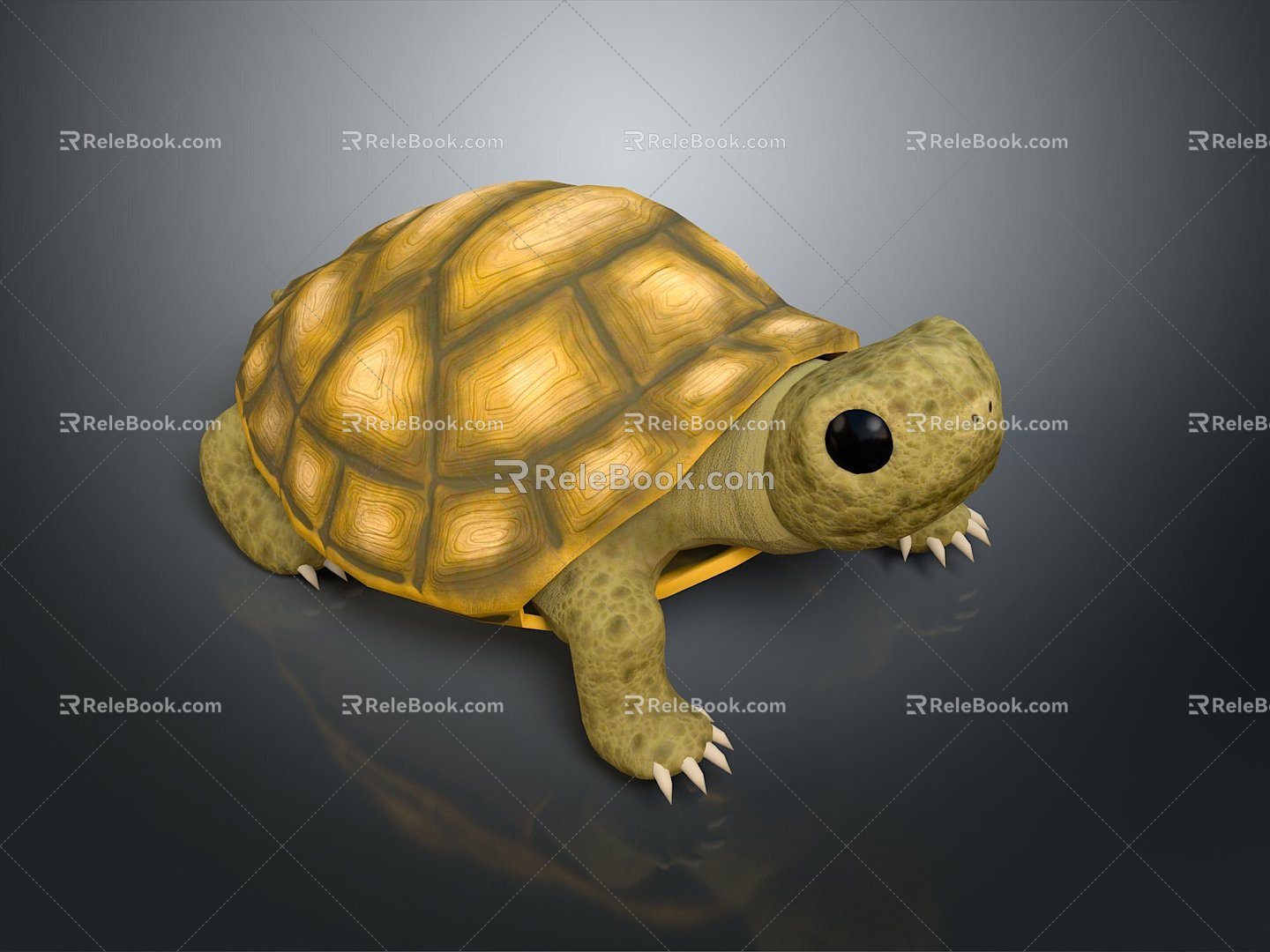 Turtle Turtle Cartoon Turtle Snapping Turtle Chickbill Turtle Reptile Cold Blooded Animal Reptile Reptile Class 3d model