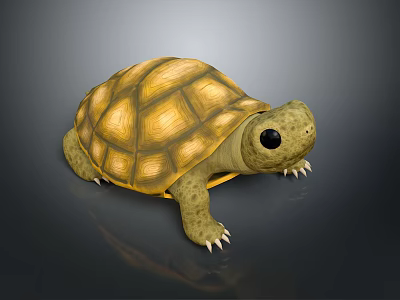 Detailed Aquatic Animal Turtle with Yellow Shell Black Eyes and Realistic 3d model