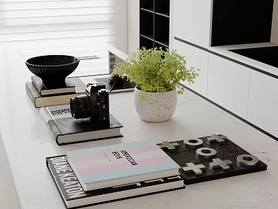 Modern Dining Table Ornaments Potted Books Camera Bowl 3d model