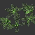 Vibrant Green Leafy Plants Featuring Broad Fresh Leaves and Cast Shadows on Neutral Backdrop