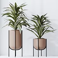 Green Leafy Potted Plants in Light Brown Pots with Black Metal Stands