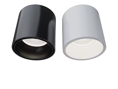 Sleek Modern Black And White Cylindrical Downlights For Indoor Lighting Design 3d model