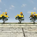 Three Yellow Flowering Trees Planted on Stone Pedestals with Blue Sky and White Clouds