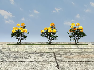 Three Yellow Flowering Trees Planted on Stone Pedestals with Blue Sky and White Clouds 3d model