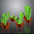 Multiple Green Cactus Plants in Red Pots on Black Background