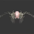Detailed 3D Visualization of Human Skeleton and Nervous System Structure
