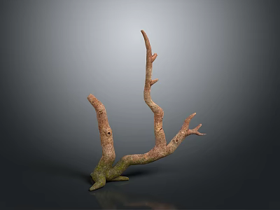 Natural Twisted Branch Sculpture With Textured Surface And Organic Shape 3d model