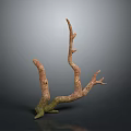 Natural Twisted Branch Sculpture With Textured Surface And Organic Shape