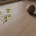 Natural Wooden Floor With Green Leaf Branch And Round Wooden Sphere