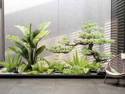 Modern Landscape Seating With Wicker Design Lush Green Plants Pine Bonsai And Stone Wall 3d model