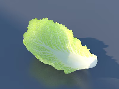 Fresh Vibrant Green Cabbage Leaf With Healthy Leafy Texture And Natural Look 3d model