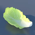 Fresh Vibrant Green Cabbage Leaf With Healthy Leafy Texture And Natural Look