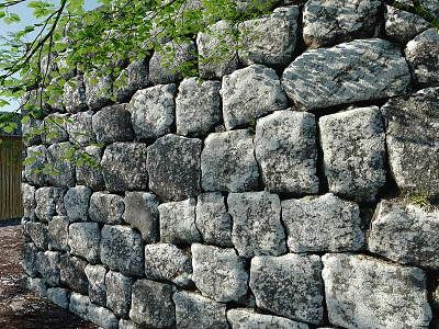 Natural Stone Made Building Exterior Wall With Rough Texture And Green Leaves Decoration 3d model