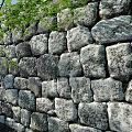 Natural Stone Made Building Exterior Wall With Rough Texture And Green Leaves Decoration