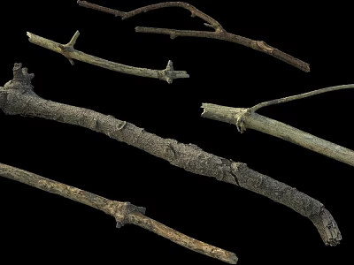 Natural Wood Branches And Stones For Rustic Decorative Projects 3d model
