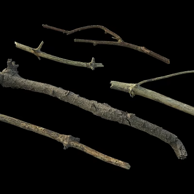 wood rotting wood dead wood dead branches rotten wood 3d model