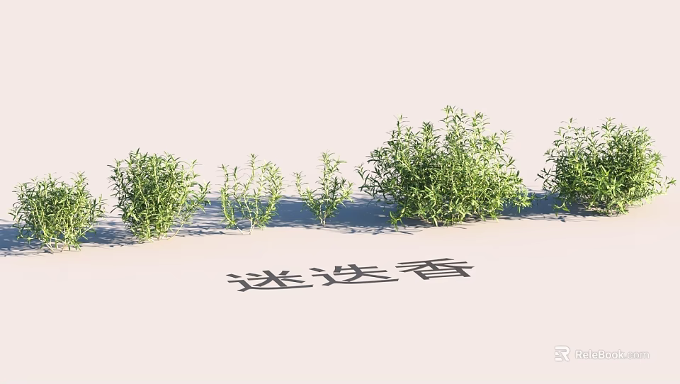 Garden Landscape Design With Clusters of Fresh Rosemary Green Plants and Lush Foliage 3d model 