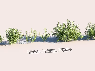 Garden Landscape Design With Clusters of Fresh Rosemary Green Plants and Lush Foliage 3d model