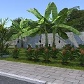 Rural Landscape With Banana Trees Pineapple Plants Brick Wall Grass And Paved Path
