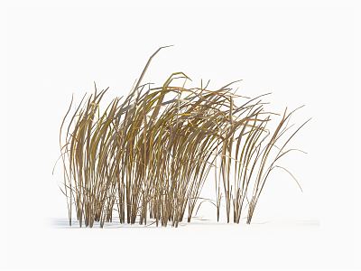 Modern hay 3d model