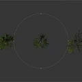 Three Different Size Green Trees With Foliage Isolated On White Background