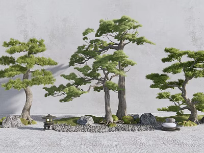 Three Pine Trees in Serene Garden with Stones Lantern and Green Foliage 3d model