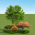 Vibrant Shrubs with Green Red Orange Yellow Foliage in Lawn Garden