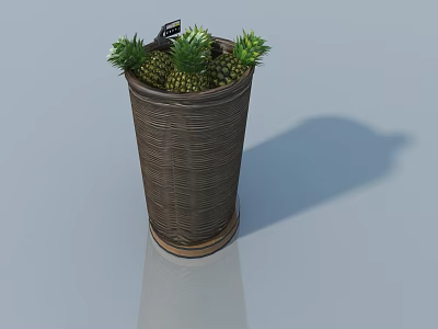 Pineapple Bonsai in Woven Cylindrical Planter with Green Leaves on Glossy Surface 3d model