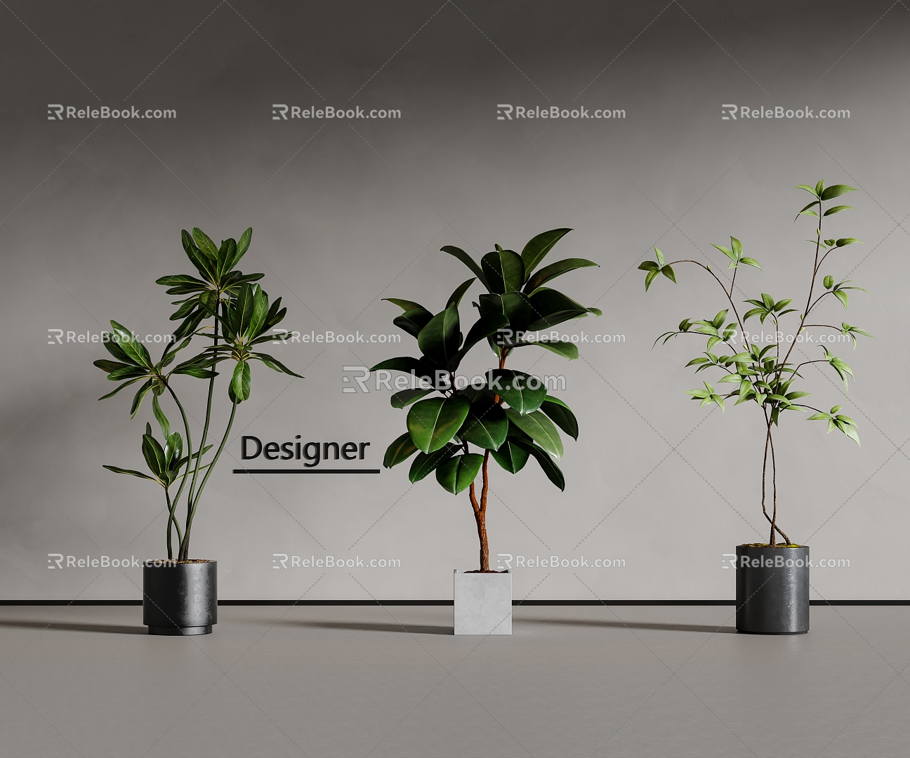 Modern green plant potted plant bonsai 3d model