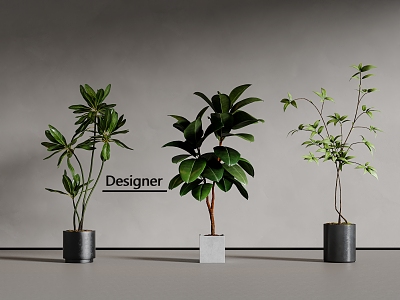 Modern green plant potted plant bonsai 3d model