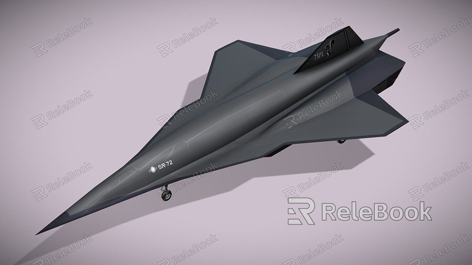 Sons of Blackbird Fighter model