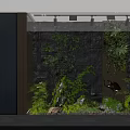 Indoor Garden Feature Design With Green Wall Diverse Plants And Decorative Stones