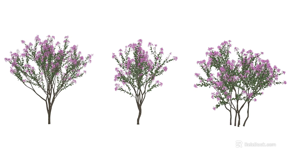 Beautiful Trees With Purple Flowers Green Leaves And Brown Trunks 3d model 